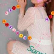 ヒメ日記 2024/12/20 09:35 投稿 さおり 横浜熟女MAX