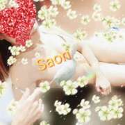 ヒメ日記 2025/10/31 09:35 投稿 さおり 横浜熟女MAX