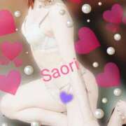 ヒメ日記 2025/11/16 01:35 投稿 さおり 横浜熟女MAX