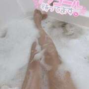 ヒメ日記 2024/12/14 00:00 投稿 あやめ 僕らのぽっちゃリーノin越谷