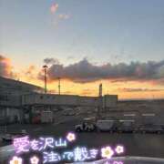 あやめ 今月もいっぱい愛🌹してくれてありがとでした💖 僕らのぽっちゃリーノin野田