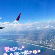 ヒメ日記 2025/01/30 15:00 投稿 あやめ 僕らのぽっちゃリーノin春日部