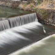 ヒメ日記 2025/10/11 12:28 投稿 みやび ドマーニ