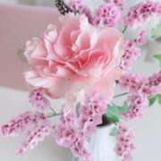 ヒメ日記 2025/04/01 19:22 投稿 ひな 愛知弥富ちゃんこ