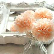 ヒメ日記 2025/04/02 06:11 投稿 ひな 愛知弥富ちゃんこ