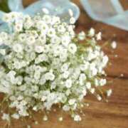 ヒメ日記 2025/04/02 15:21 投稿 ひな 愛知弥富ちゃんこ