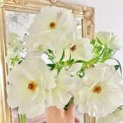 ヒメ日記 2025/04/04 10:21 投稿 ひな 愛知弥富ちゃんこ