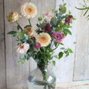 ヒメ日記 2025/09/01 07:21 投稿 ひな 愛知弥富ちゃんこ