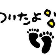 ヒメ日記 2025/11/04 09:41 投稿 ひな 愛知弥富ちゃんこ