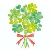 ヒメ日記 2025/11/04 09:47 投稿 ひな 愛知弥富ちゃんこ