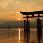 ヒメ日記 2025/12/31 08:11 投稿 ひな 愛知弥富ちゃんこ