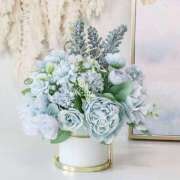 ヒメ日記 2025/12/31 09:51 投稿 ひな 愛知弥富ちゃんこ