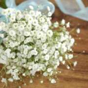 ヒメ日記 2025/12/31 12:21 投稿 ひな 愛知弥富ちゃんこ