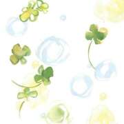 ひな ꕤ*.ﾟ13:00本指名様ꕤ*.ﾟ 愛知弥富ちゃんこ