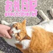 ヒメ日記 2025/05/26 17:10 投稿 あいこ 熟女＆人妻＆ぽっちゃり倶楽部