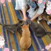 ヒメ日記 2025/06/02 20:48 投稿 あいこ 熟女＆人妻＆ぽっちゃり倶楽部