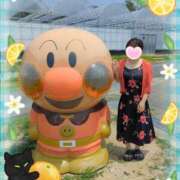 ヒメ日記 2025/07/09 11:38 投稿 あいこ 熟女＆人妻＆ぽっちゃり倶楽部