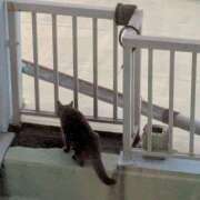 ヒメ日記 2025/07/24 05:08 投稿 あいこ 熟女＆人妻＆ぽっちゃり倶楽部