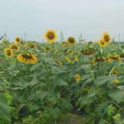 ヒメ日記 2025/08/10 00:50 投稿 あいこ 熟女＆人妻＆ぽっちゃり倶楽部