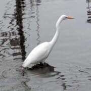 ヒメ日記 2026/02/07 13:54 投稿 あいこ 熟女＆人妻＆ぽっちゃり倶楽部