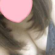 ヒメ日記 2024/12/16 00:21 投稿 ろい 奴隷コレクション