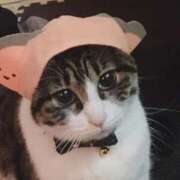 ヒメ日記 2025/12/19 10:42 投稿 ろい 奴隷コレクション