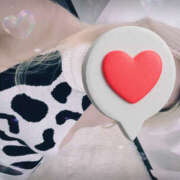 ヒメ日記 2025/02/19 11:22 投稿 あいり VIVIDCREW十三店