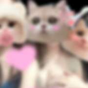 ヒメ日記 2026/07/26 23:10 投稿 あいり VIVIDCREW十三店