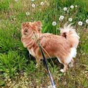 ヒメ日記 2025/05/26 12:50 投稿 佐伯美香 五十路マダム富山店(カサブランカグループ)