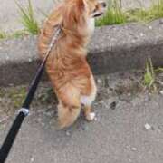 ヒメ日記 2025/06/06 13:58 投稿 佐伯美香 五十路マダム富山店(カサブランカグループ)