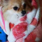 ヒメ日記 2025/11/15 20:24 投稿 佐伯美香 五十路マダム富山店(カサブランカグループ)