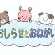 ヒメ日記 2024/06/04 18:17 投稿 りょう トマトなび