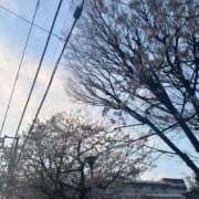 ヒメ日記 2025/04/08 20:20 投稿 夢野雅 ローテンブルク