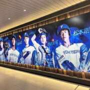 ヒメ日記 2025/06/03 11:48 投稿 夢野雅 ローテンブルク