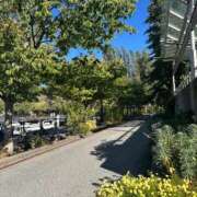 ヒメ日記 2025/07/15 12:11 投稿 夢野雅 ローテンブルク