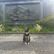 ヒメ日記 2025/11/08 11:15 投稿 夢野雅 ローテンブルク