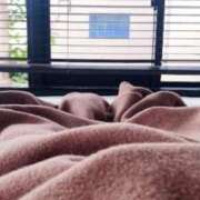 ヒメ日記 2025/11/09 09:04 投稿 夢野雅 ローテンブルク