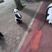 ヒメ日記 2026/02/13 16:45 投稿 夢野雅 ローテンブルク