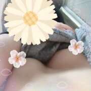 ヒメ日記 2025/03/31 13:36 投稿 さくら リッチドールパート2梅田店