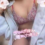 ヒメ日記 2026/02/20 13:30 投稿 さくら リッチドールパート2梅田店