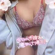 ヒメ日記 2026/02/20 13:35 投稿 さくら リッチドールパート2梅田店