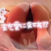 ヒメ日記 2026/03/06 20:05 投稿 さくら リッチドールパート2梅田店