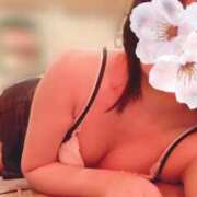 ヒメ日記 2026/04/02 15:15 投稿 さくら リッチドールパート2梅田店