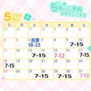 ヒメ日記 2025/05/04 20:07 投稿 ぴあの バイオレンス