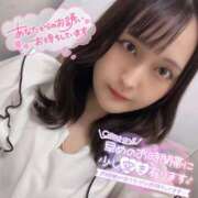 ヒメ日記 2025/06/14 14:45 投稿 ぴあの バイオレンス