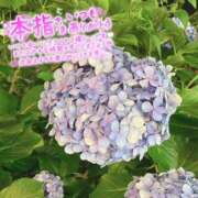 ヒメ日記 2025/06/18 00:05 投稿 ぴあの バイオレンス