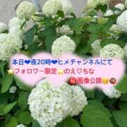 ヒメ日記 2025/06/23 14:25 投稿 ぴあの バイオレンス