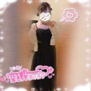 ヒメ日記 2025/07/12 06:05 投稿 ぴあの バイオレンス