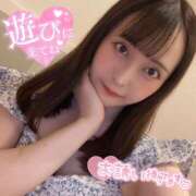 ヒメ日記 2025/07/15 08:38 投稿 ぴあの バイオレンス