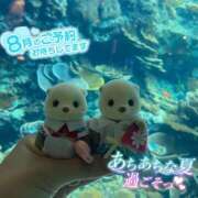 ヒメ日記 2025/08/06 17:15 投稿 ぴあの バイオレンス